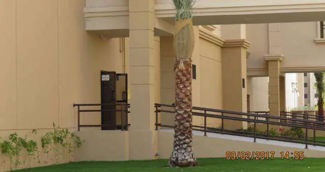 Abu Dhabi University Main Educational Building Extension (School of Engineering)